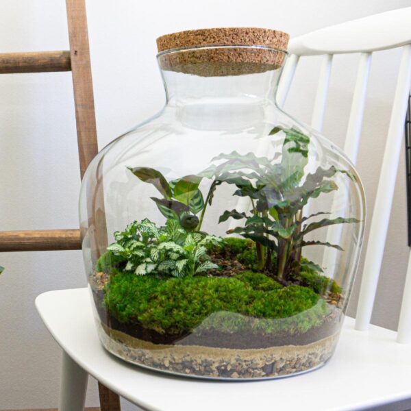 DIY terrarium - Fat Joe + Rake + Shovel