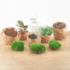 DIY terrarium - Dome + Rake + Shovel