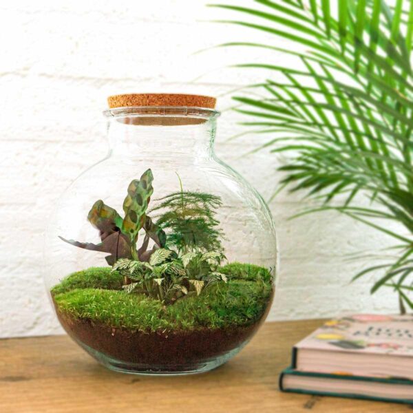thumbnail_6000-12340.jpg DIY terrarium - Bolder Bob + Rake + Shovel + Tweezer