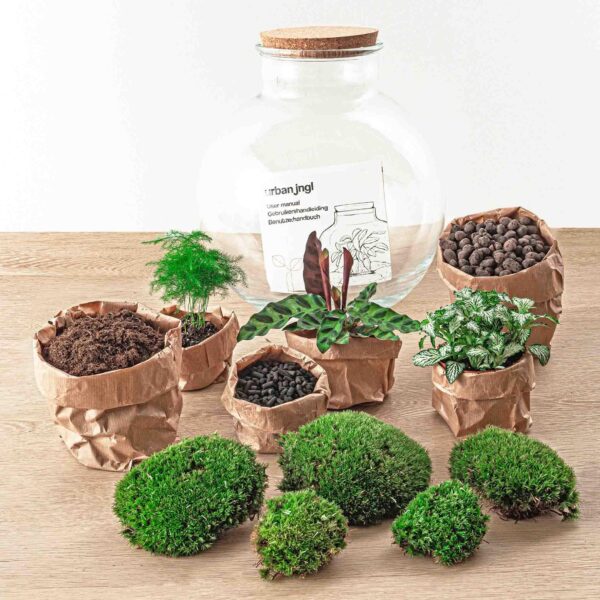 thumbnail_6000-12346.jpg DIY terrarium - Bolder Bob + Rake + Shovel + Tweezer + Scissors