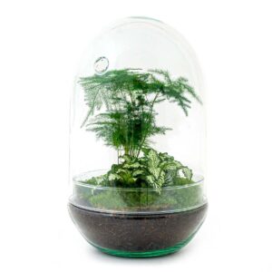 DIY terrarium - Egg XL