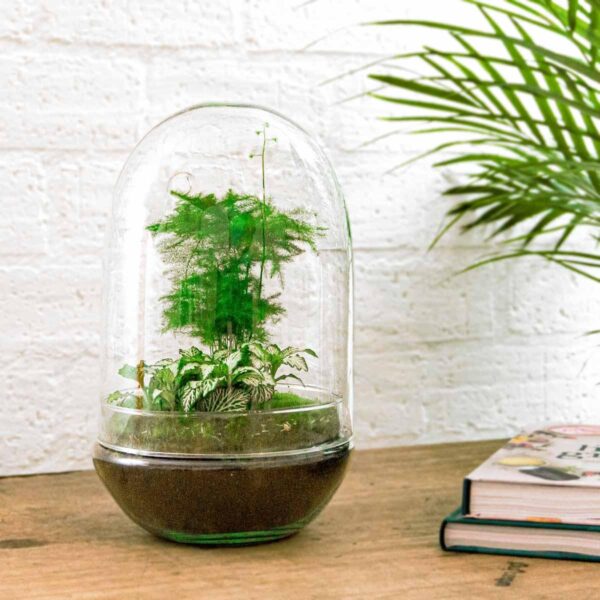 thumbnail_6000-12364.jpg DIY terrarium - Egg XL