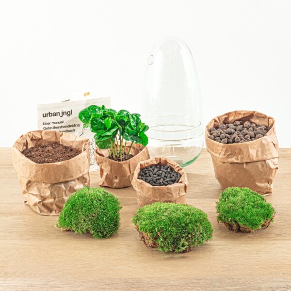 thumbnail_6000-12370.jpg DIY terrarium - Egg Coffea Arabica