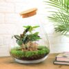 DIY terrarium - Drop XL Rood