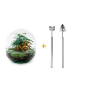 thumbnail_6000-12404.jpg DIY terrarium - Dome Red + Rake + Shovel