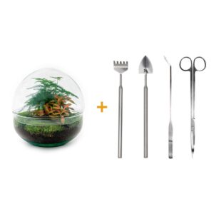 thumbnail_6000-12411.jpg DIY terrarium - Dome Red + Rake + Shovel + Tweezer + Scissors