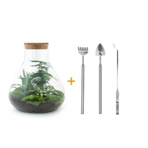 thumbnail_6000-12467.jpg DIY terrarium - Sam XL + Rake + Shovel + Tweezer
