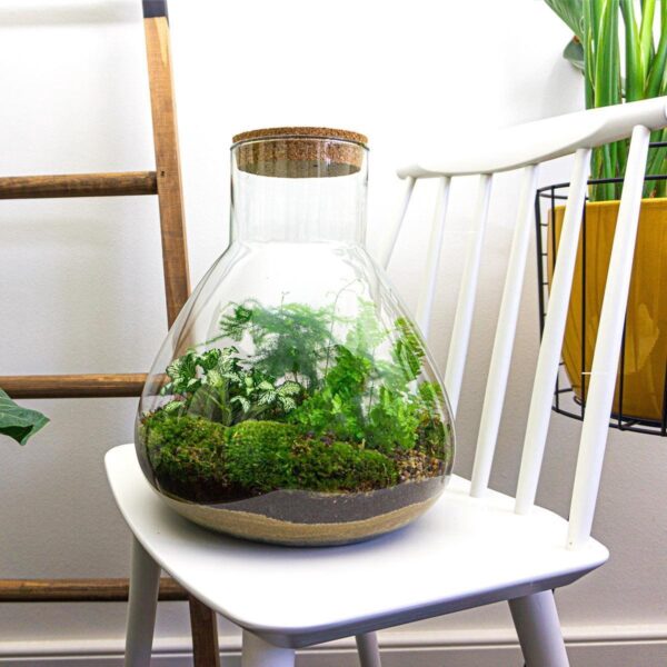 thumbnail_6000-12468.jpg DIY terrarium - Sam XL + Rake + Shovel + Tweezer