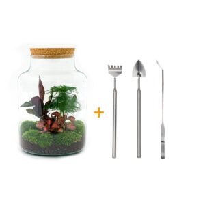 thumbnail_6000-12479.jpg DIY terrarium - Milky + Rake + Shovel + Tweezer