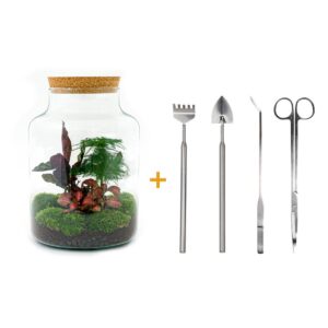 thumbnail_6000-12482.jpg DIY terrarium - Milky - Rake + Shovel + Tweezer + Scissors