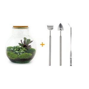 thumbnail_6000-12489.jpg DIY terrarium - Teddy + Rake + Shovel + Tweezer
