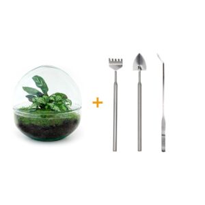 thumbnail_6000-12499.jpg DIY terrarium - Dome + Rake + Shovel + Tweezer