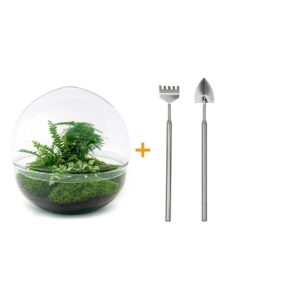 thumbnail_6000-12510.jpg DIY terrarium - Dome XL + Rake + Shovel