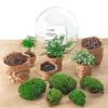 DIY terrarium - Dome XL + Rake + Shovel
