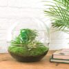 DIY terrarium - Dome XL + Rake + Shovel + Tweezer + Scissors