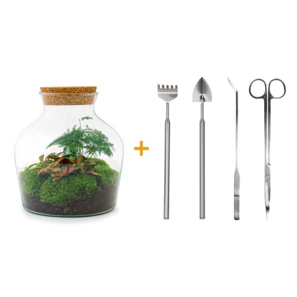 thumbnail_6000-12528.jpg DIY terrarium - Little Joe + Rake + Shovel + Tweezer + Scissors