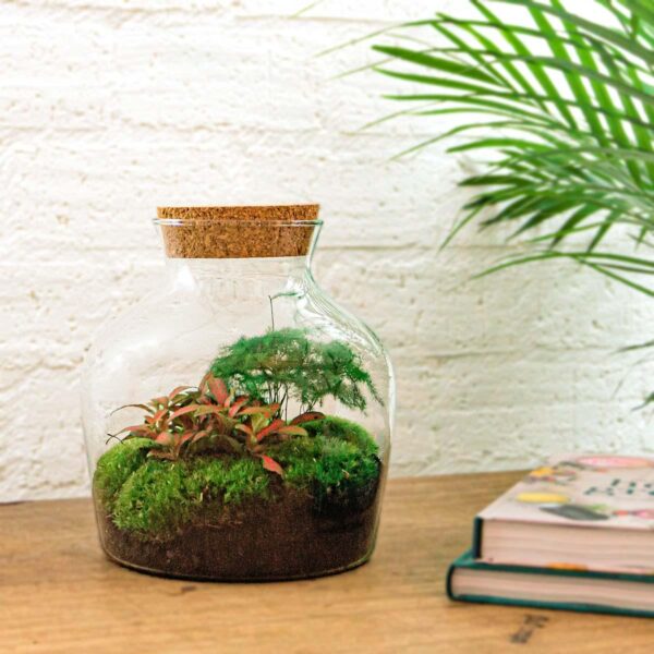 thumbnail_6000-12529.jpg DIY terrarium - Little Joe + Rake + Shovel + Tweezer + Scissors