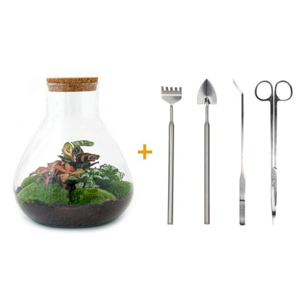 thumbnail_6000-12543.jpg DIY terrarium - Sam XL Red - Rake + Shovel + Tweezer + Scissors