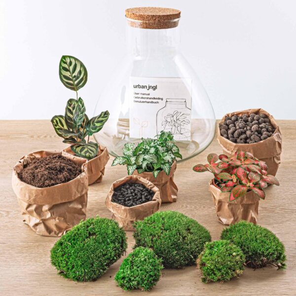 thumbnail_6000-12545.jpg DIY terrarium - Sam XL Red - Rake + Shovel + Tweezer + Scissors