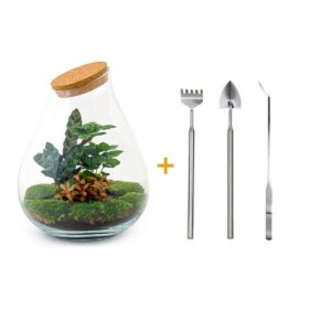 thumbnail_6000-12549.jpg DIY terrarium - Drop XL Rood - Rake + Shovel + Tweezer