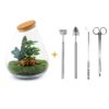 DIY terrarium - Drop XL Rood + Rake + Shovel + Tweezer + Scissors