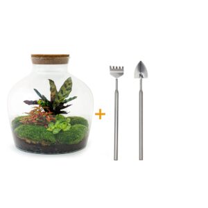 thumbnail_6000-12555.jpg DIY terrarium - Fat Joe Rood + Rake + Shovel