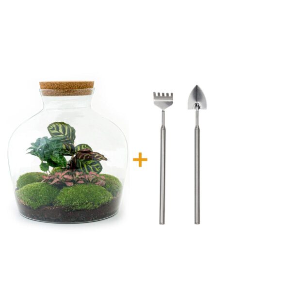 thumbnail_6000-12619.jpg DIY terrarium - Fat Joe Coffea - Rake + Shovel