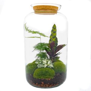 thumbnail_6000-12640.jpg DIY terrarium - Botanical Sven XL - Rake + Shovel + Tweezer + Scissors