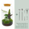 DIY terrarium - Botanical Sven XL - Rake + Shovel + Tweezer + Scissors