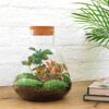 DIY terrarium - Sammie Coffea