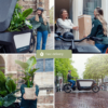 Verrassingsbox - 10 diverse kamerplanten