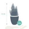 Cactus mix in witte pot | 5 stuks