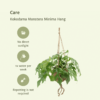 Kokodama Monstera Minima Hang - Gatenplant | 2 stuks