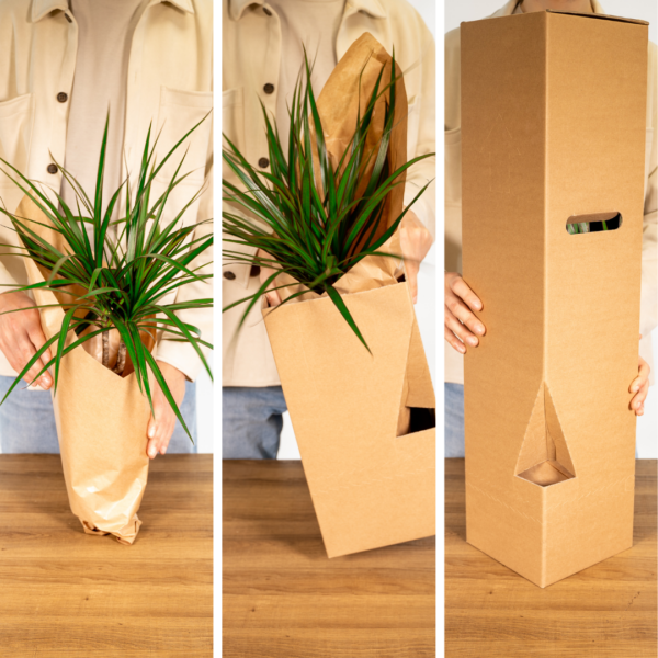 thumbnail_6000-5753.png Tuinkruiden Mix | 4 stuks