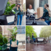 Tuinkruiden Mix | 4 stuks