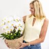 Witte orchideeënset in Cotton Basket incl waterreservoir