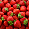 Fragaria - Aardbeien planten BIO | 6 stuks