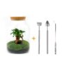 DIY terrarium - Milky met bonsai + Rake + Shovel + Tweezer