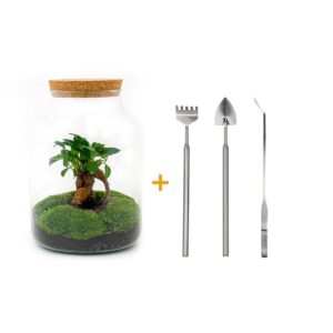 DIY terrarium - Milky met bonsai + Rake + Shovel + Tweezer
