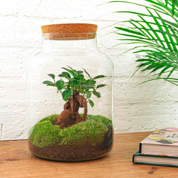 thumbnail_6000-1733.jpg DIY terrarium - Milky met bonsai + Rake + Shovel + Tweezer