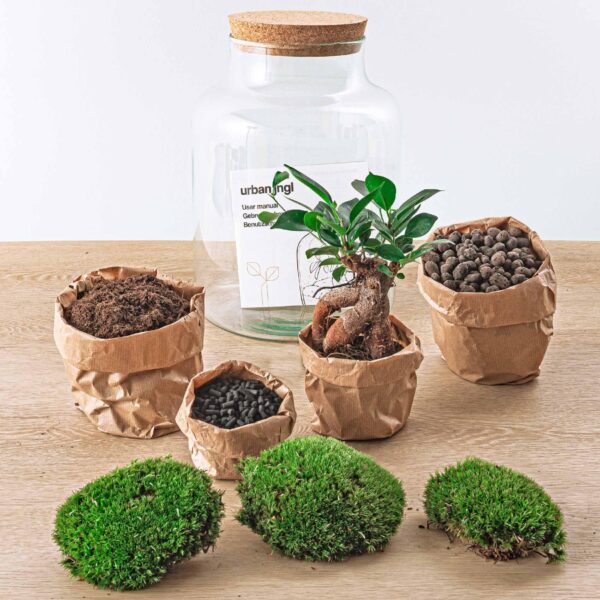 thumbnail_6000-1735.jpg DIY terrarium - Milky met bonsai + Rake + Shovel + Tweezer