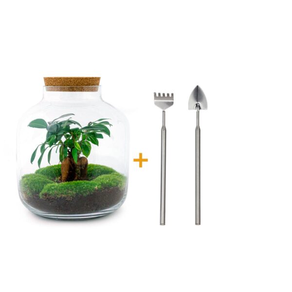 thumbnail_6000-1743.jpg DIY terrarium - Billie + Rake + Shovel
