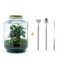 DIY terrarium - Botanical garden XL - Rake + Shovel + Tweezer