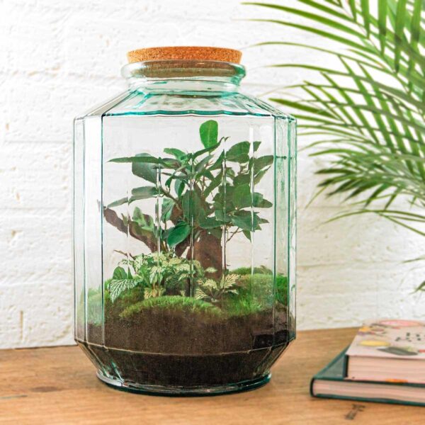 DIY terrarium - Botanical garden XL - Rake + Shovel + Tweezer
