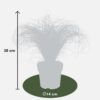 Carex mix | 5 stuks