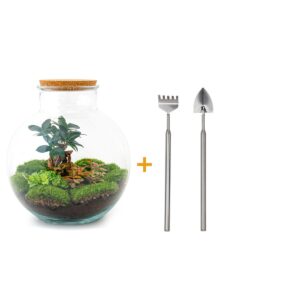 thumbnail_6000-478.jpg DIY terrarium - Bolder Bob Bonsai + Rake + Shovel