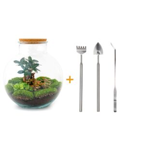thumbnail_6000-482.jpg DIY terrarium - Bolder Bob Bonsai + Rake + Shovel + Tweezer