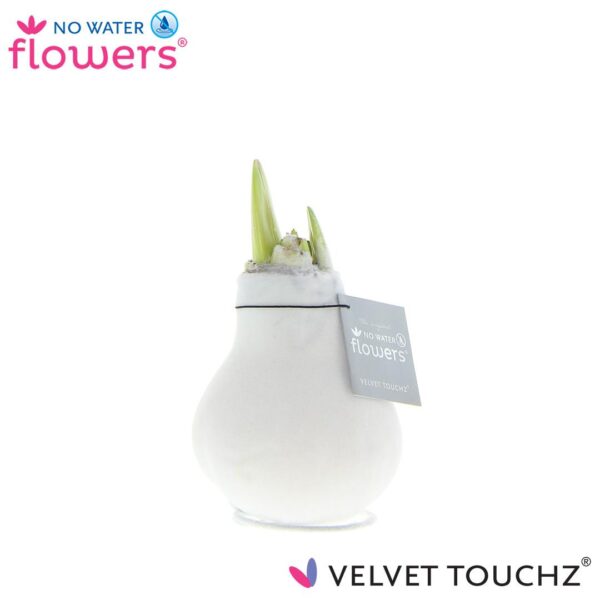 thumbnail_6000-7971.jpg No Water Flowers Velvet Touchz White