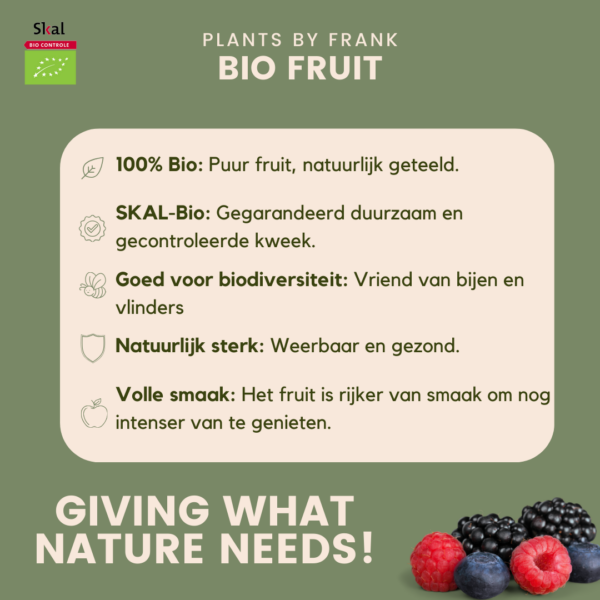 thumbnail_6000-220.png Bramenplanten | 3 stuks
