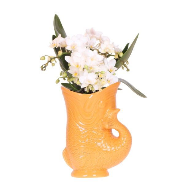 thumbnail_6000-158.jpg Witte orchidee 'Nazaré' in Fish pot oranje